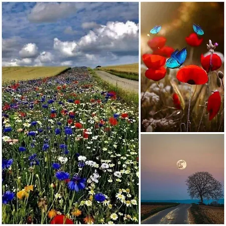 アパート La Houblonniere Standing Et Confort A コルマール